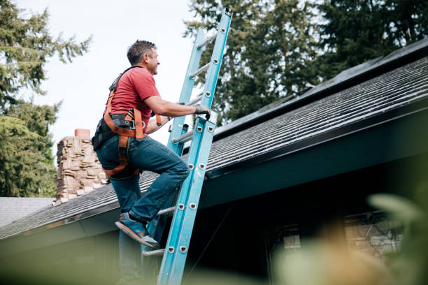 Steel Roofing in Waterville, OH